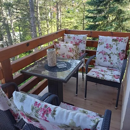 Nana Svetogorska 19 ,stan 17 Zlatibor