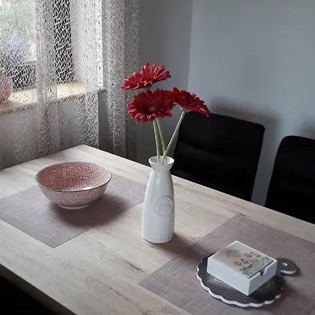 Nana Svetogorska 19 ,stan 17 3* Zlatibor