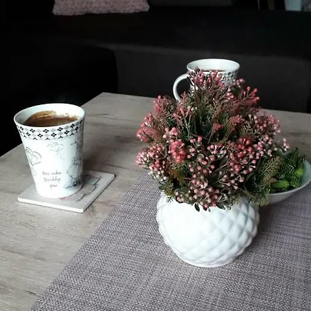 Appart hôtel Nana Svetogorska 19 ,stan 17