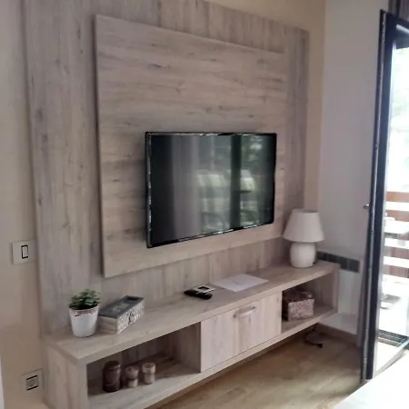 Nana Svetogorska 19 ,stan 17 Aparthotel *