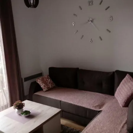 Aparthotel Nana Svetogorska 19 ,stan 17 Zlatibor