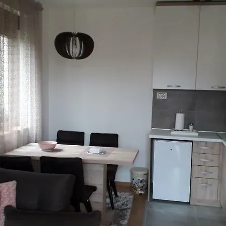 Nana Svetogorska 19 ,stan 17 3* Zlatibor