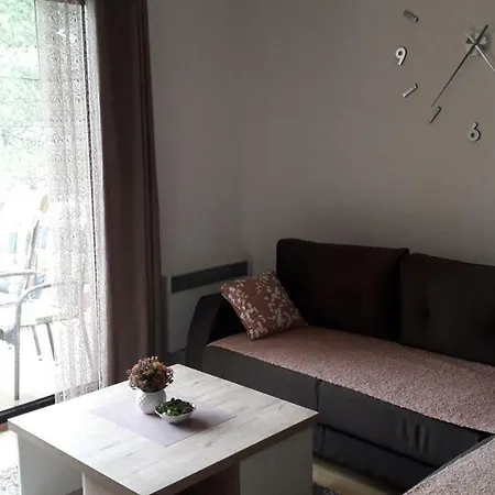 Nana Svetogorska 19 ,stan 17 Appart hôtel Zlatibor