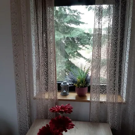 Nana Svetogorska 19 ,stan 17 Appart hôtel 3*