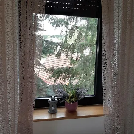 Aparthotel Nana Svetogorska 19 ,stan 17 *